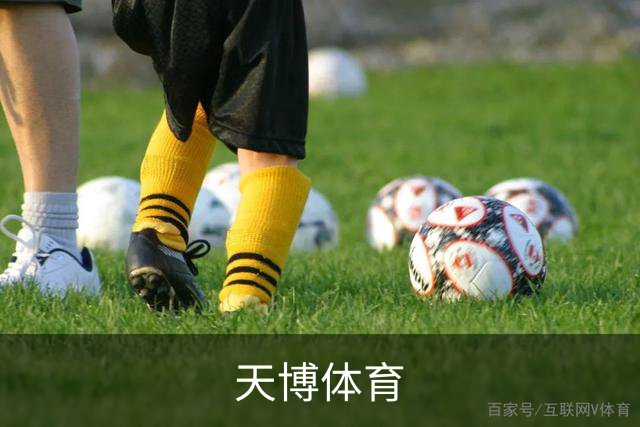 天博体育公司简介图片